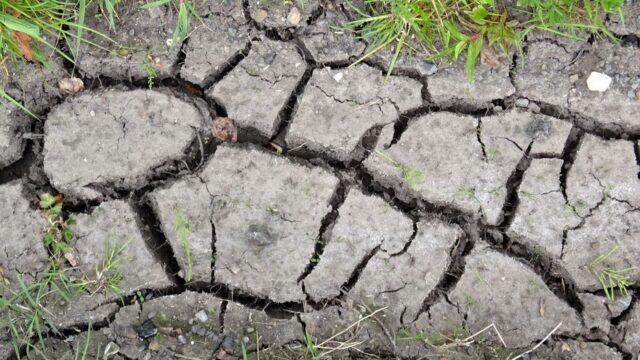 Primavera do El Niño: Como Preparar Suas Plantas em Vaso