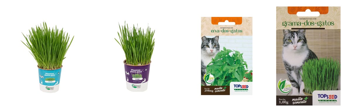 Produtos do Clube Plantei para gatos: graminha de aveia e de trigo em vaso biodegradável, sementes de catnip e de grama dos gatos