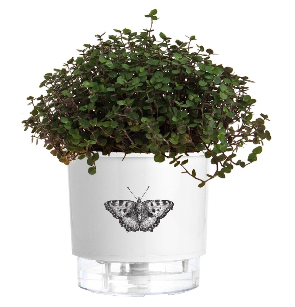 Vaso autoirrigável pequeno branco da coleção Jardim de Insetos com borboleta