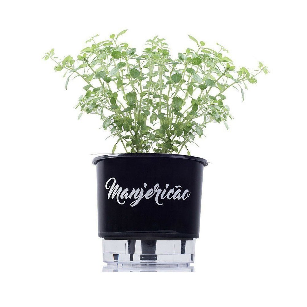 Vaso autoirrigável da linha gourmet com manjericão